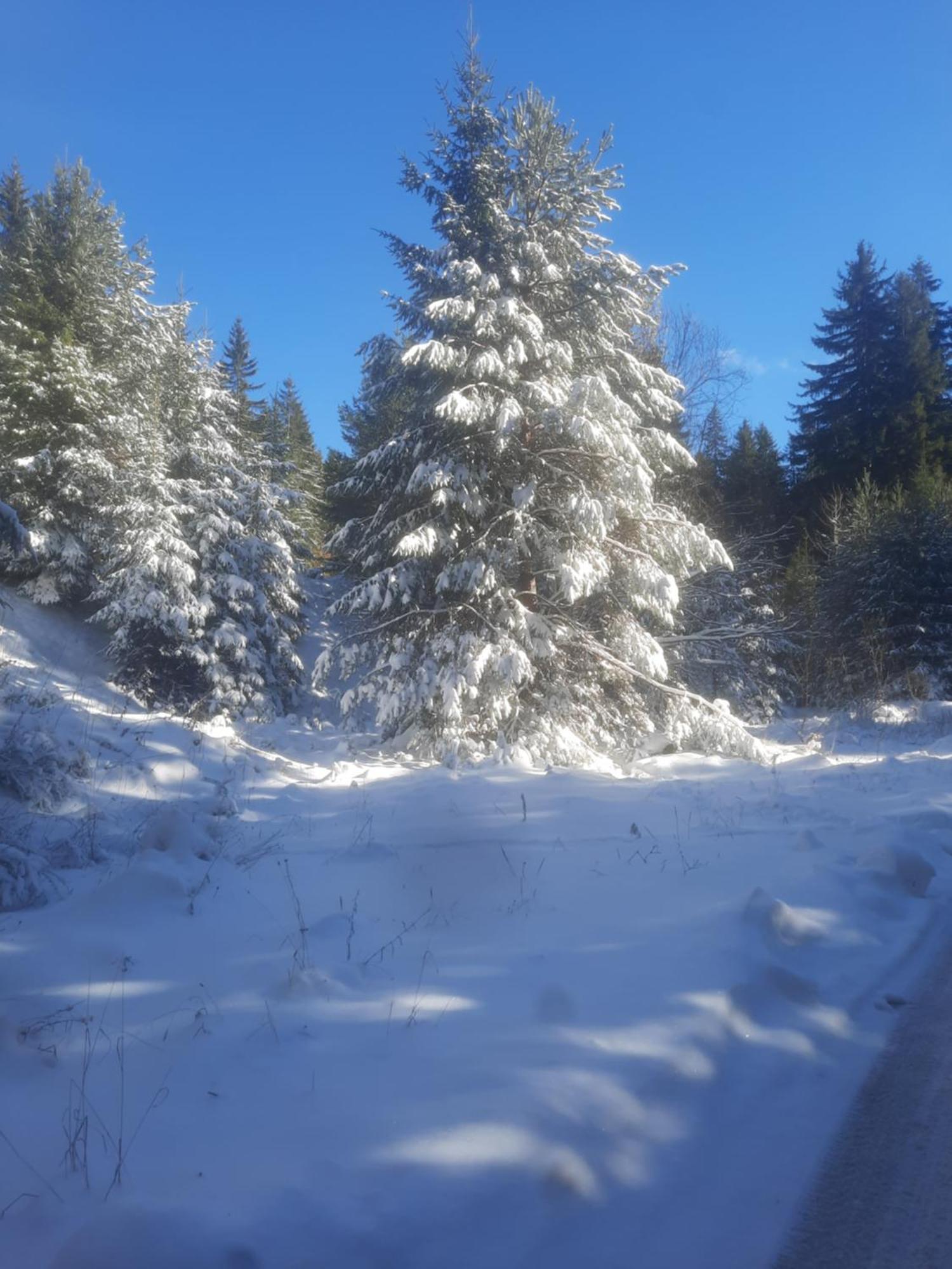 Семеен Хотел Кристал Smolyan Exterior photo